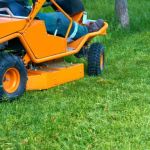 DIY vs Professional Landscaping: Pros, Cons & Cost