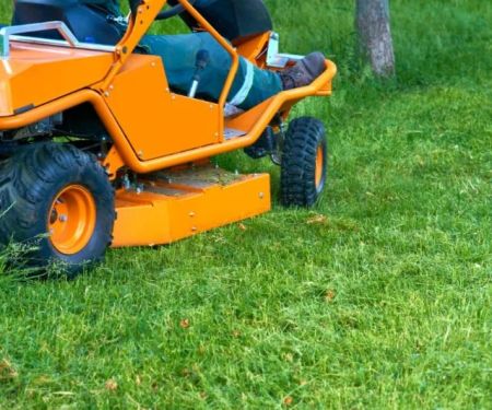 DIY vs Professional Landscaping: Pros, Cons & Cost