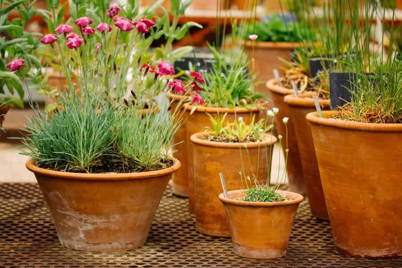 How to Use Terracotta & Natural Materials in Garden Design