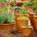 How to Use Terracotta & Natural Materials in Garden Design
