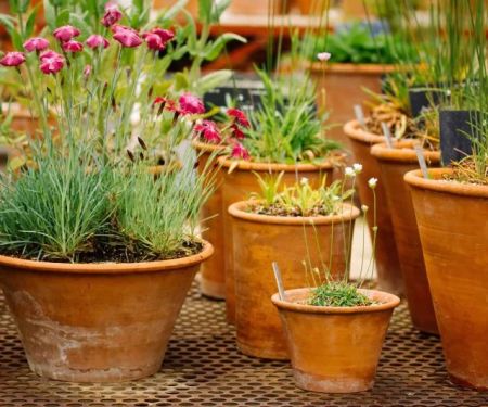 How to Use Terracotta & Natural Materials in Garden Design