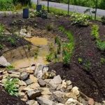 Rain Garden Design: Capture Stormwater Naturally