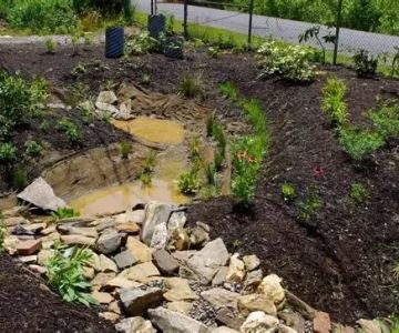 Rain Garden Design: Capture Stormwater Naturally