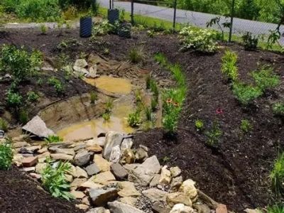 Rain Garden Design: Capture Stormwater Naturally