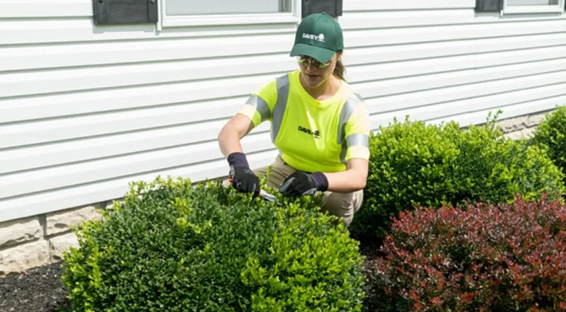 How to Care for a Newly Planted Landscape for Healthy Growth