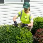 How to Care for a Newly Planted Landscape for Healthy Growth
