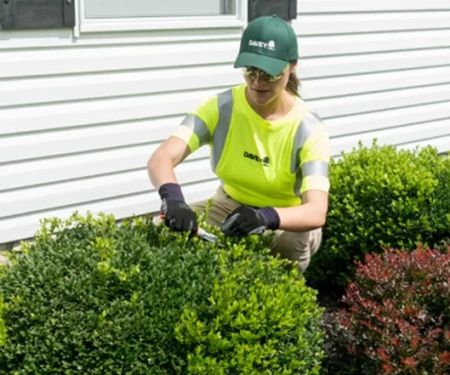 How to Care for a Newly Planted Landscape for Healthy Growth