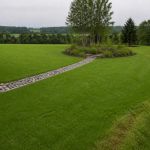 Rain Garden Planning: Test Drainage Before You Dig