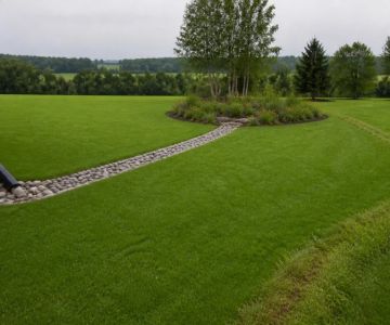 Rain Garden Planning: Test Drainage Before You Dig